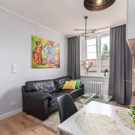 Centrum - Podjazd Daire